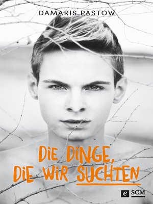 cover image of Die Dinge, die wir suchten